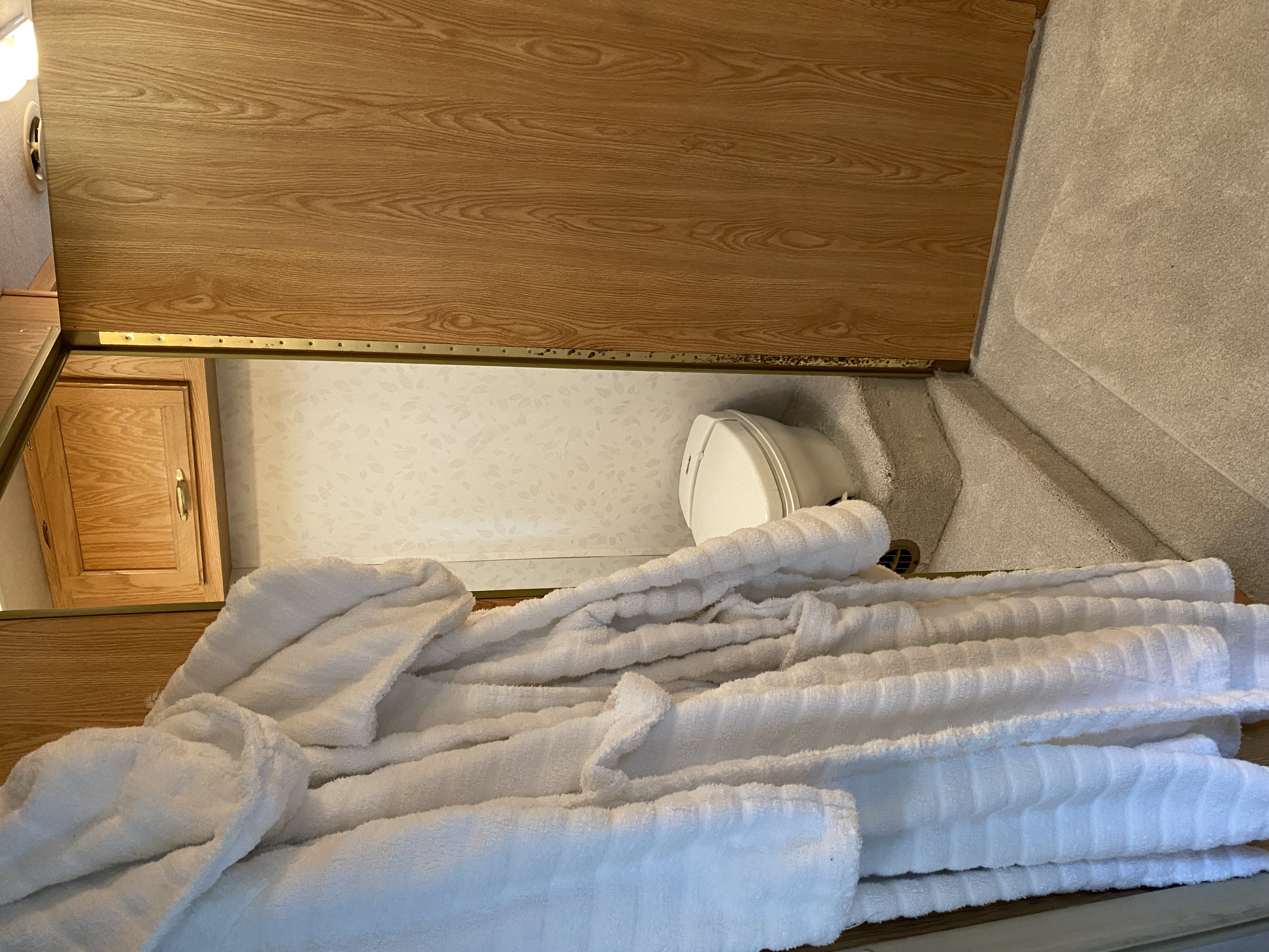 Coachman — photo 5