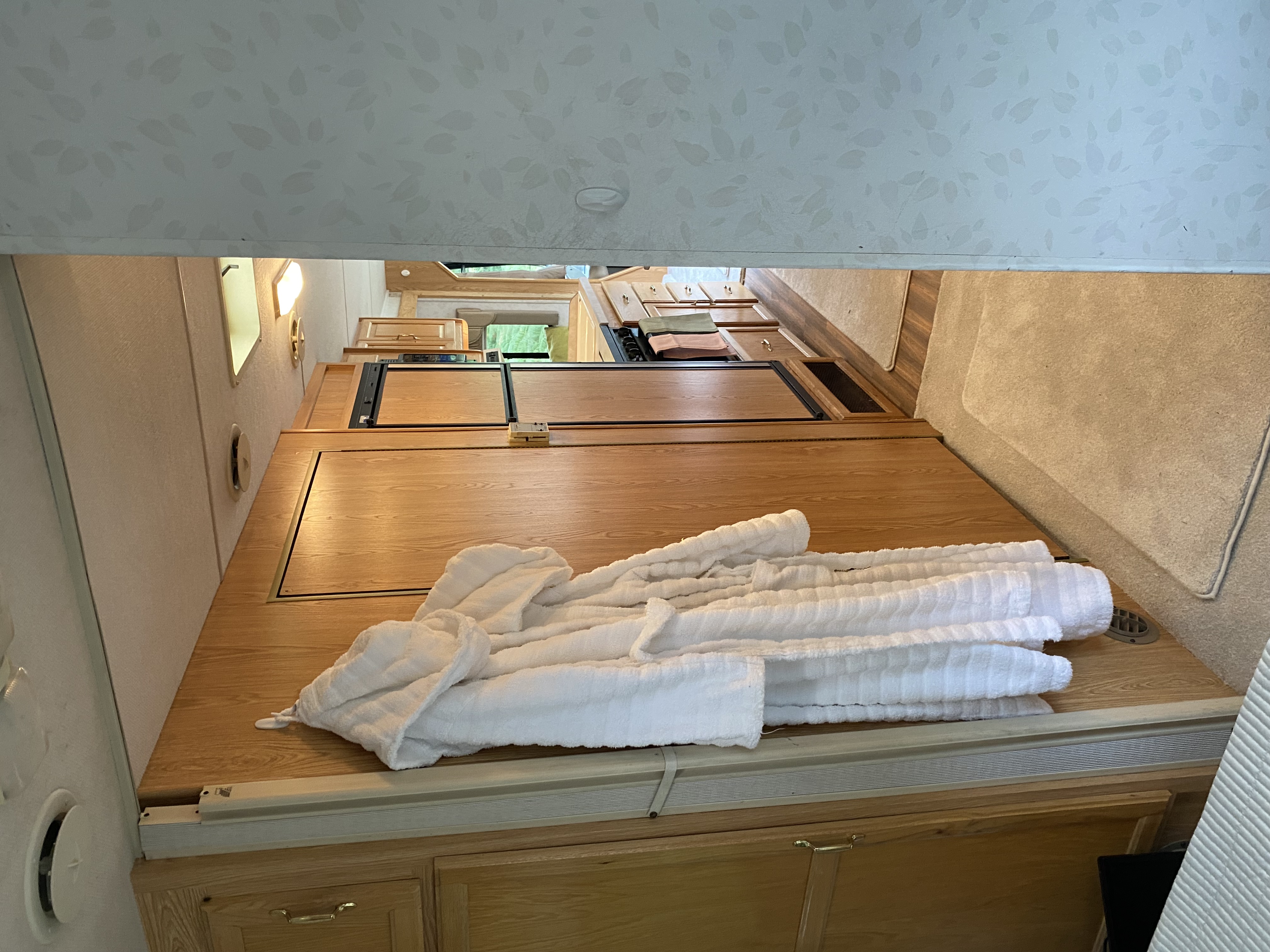 Coachman — photo 8